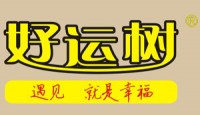 好運樹